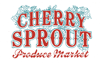 Just another WordPress site